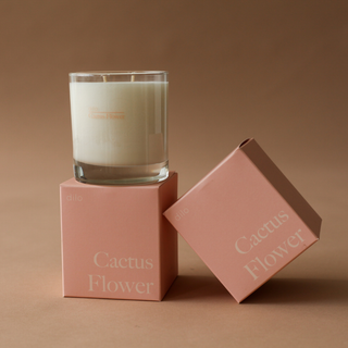 Photo of an unlit dilo cactus flower unlit candle and packaging